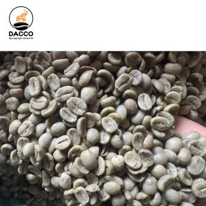 Arabica Ướt Loại 2