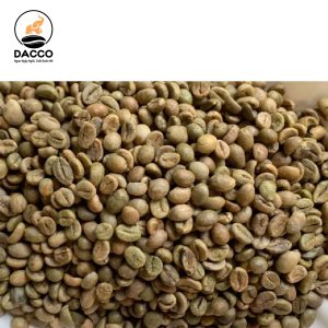 Robusta S16 Clean