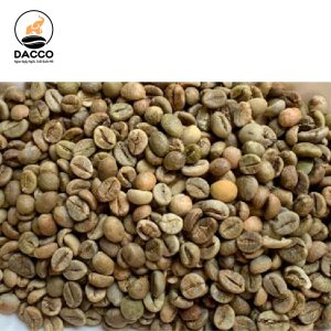 Robusta S18 Clean